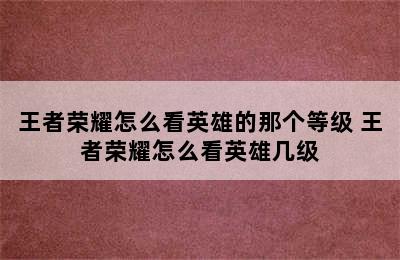 王者荣耀怎么看英雄的那个等级 王者荣耀怎么看英雄几级